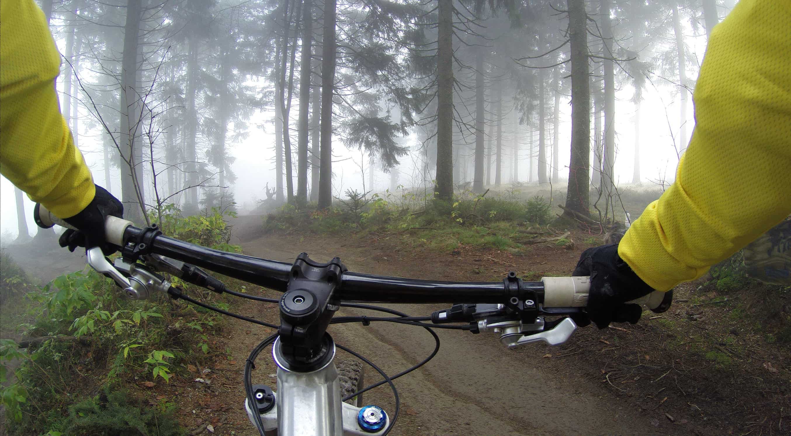 bike riding in woods