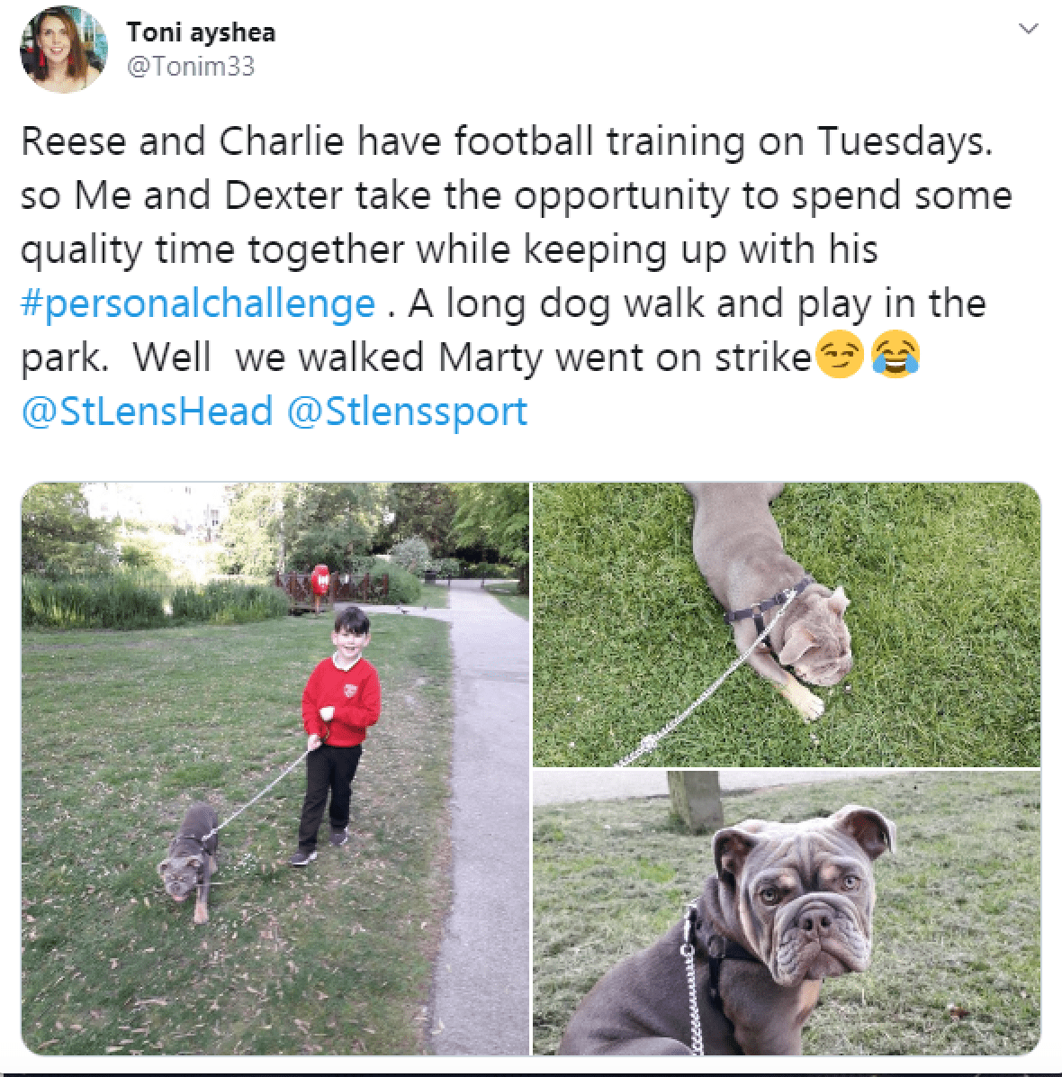 tweet from a family involved in the challenge showing them on a dog walk