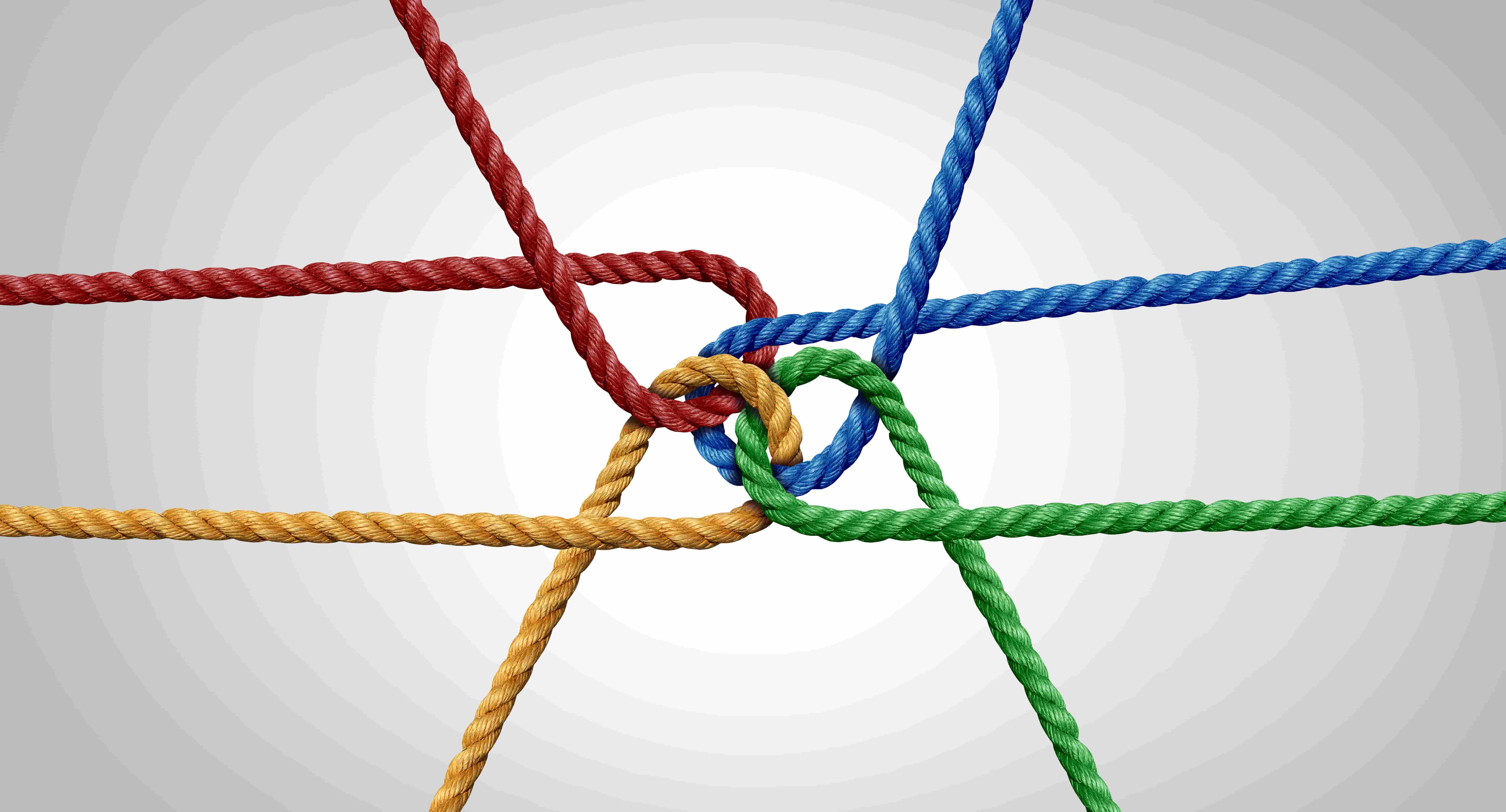 red, green, yellow and blue rope interlinking 