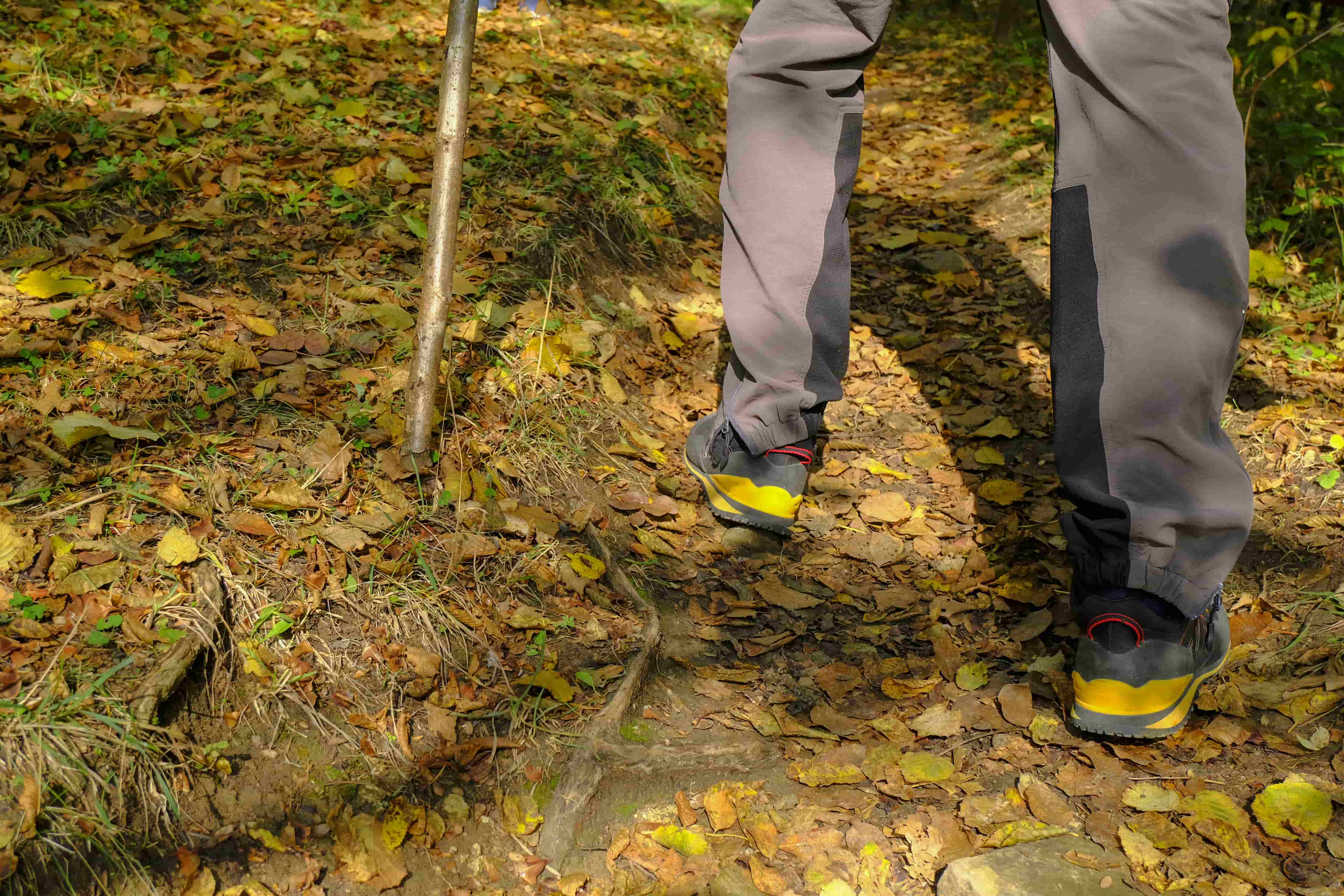 image of persons lower leg in trainers walking in leaves using a walking stick