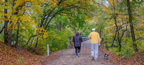 Two older people walking in woods facing away from the camera